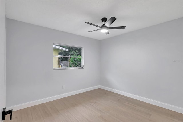 559 Vine Ave, Dunedin, FL 34698 - photo 16