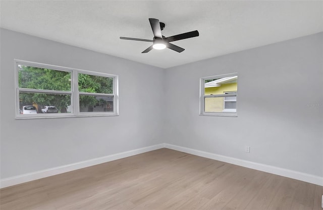 559 Vine Ave, Dunedin, FL 34698 - photo 18
