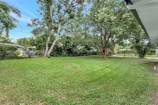 559 Vine Ave, Dunedin, FL 34698 - photo 24