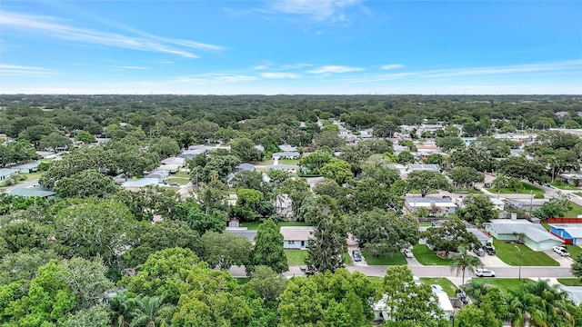 559 Vine Ave, Dunedin, FL 34698 - photo 27