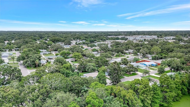 559 Vine Ave, Dunedin, FL 34698 - photo 28