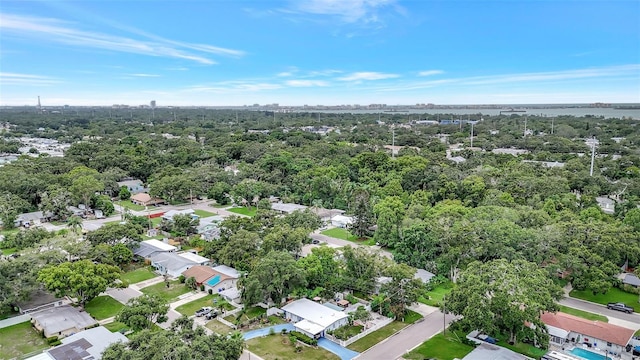 559 Vine Ave, Dunedin, FL 34698 - photo 29