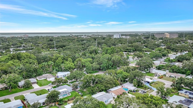 559 Vine Ave, Dunedin, FL 34698 - photo 30