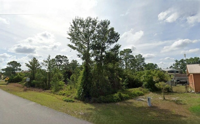 1017 Breckinridge Ave, Lake Placid, FL 33852 - photo 2