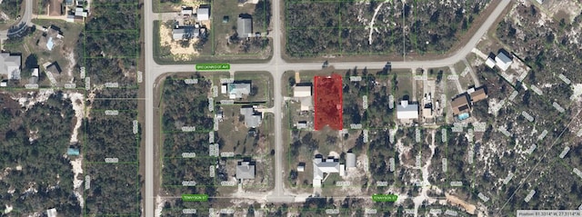 1017 Breckinridge Ave, Lake Placid, FL 33852 - photo 4