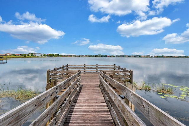 11637 Brickyard Pond Ln, Windermere, FL 34786 - photo 68