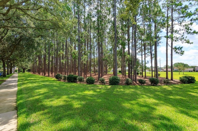 6830 Mapperton Dr, Windermere, FL 34786 - photo 4