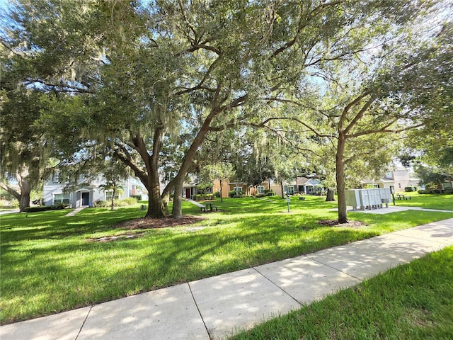 909 Brandy Oaks Loop, Winter Garden, FL 34787 - photo 33