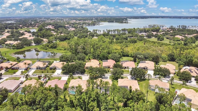 11096 Ledgement Ln, Windermere, FL 34786 - photo 42