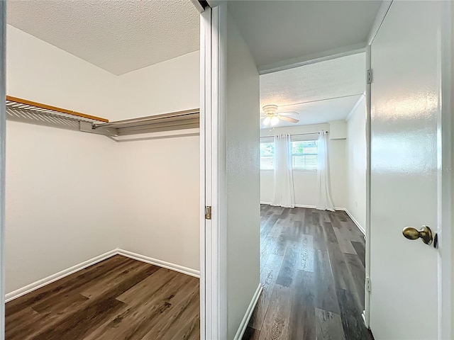 1100 Delaney Ave Unit G12, Orlando, FL 32806 - photo 29