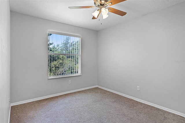 8702 Knightsbridge Ct Unit D, Kissimmee, FL 34747 - photo 14
