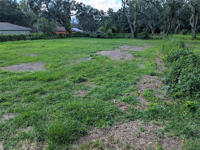 170 Kirkland Park St, Mulberry, FL 33860 - photo 1