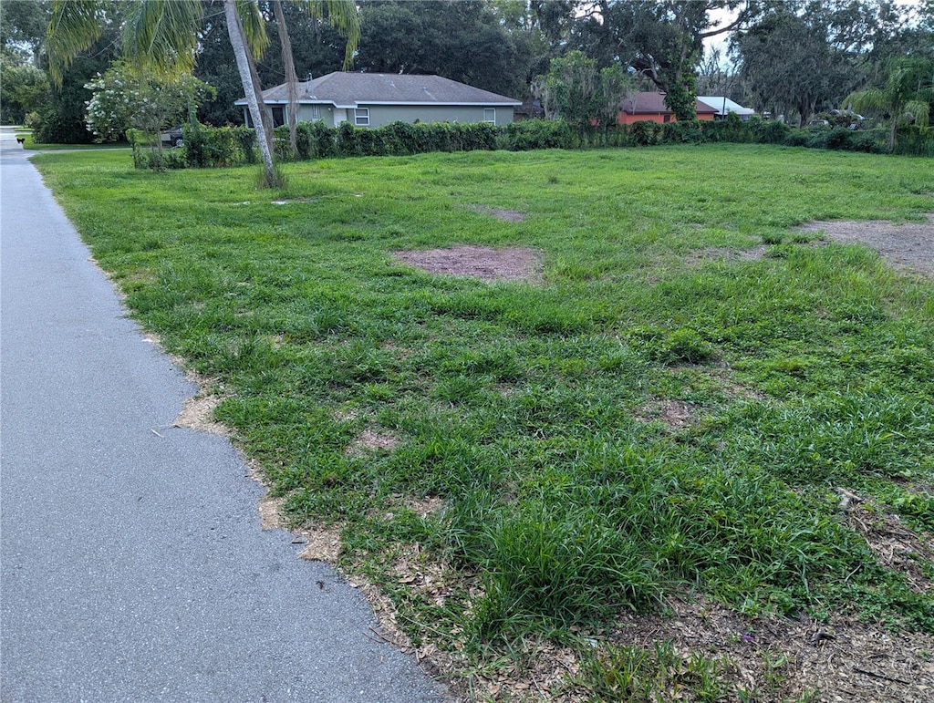 170 Kirkland Park St, Mulberry, FL 33860 - photo 2