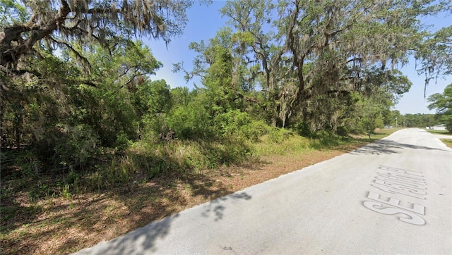 SE 92nd Ct, Summerfield, FL 34491 - photo 2
