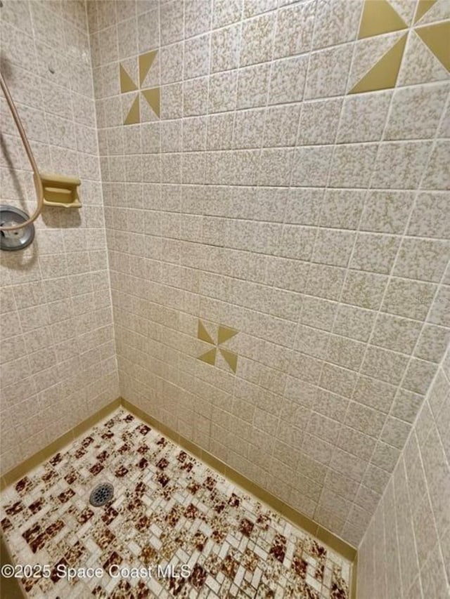 55 W Towne Pl, Titusville, FL 32796 - photo 52