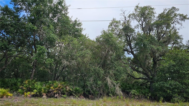 1005 Plumosa Dr, Indian Lake Estates, FL 33855 - photo 2