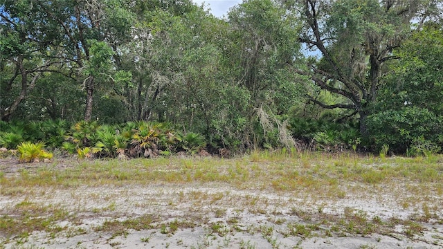 1005 Plumosa Dr, Indian Lake Estates, FL 33855 - photo 3