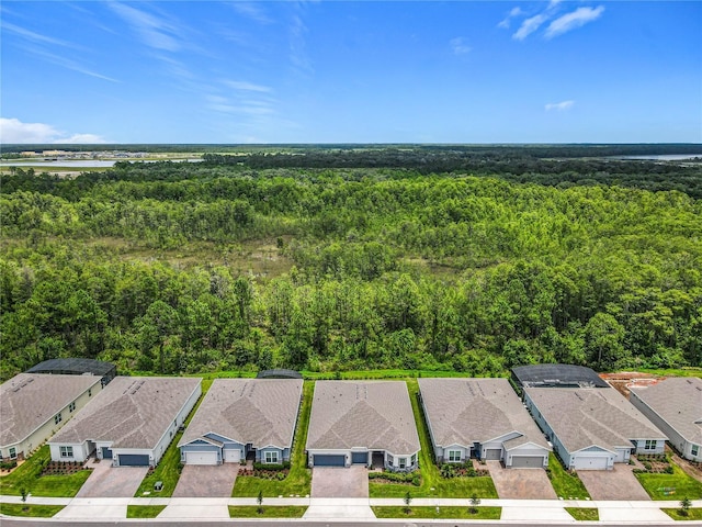 2441 Pine Preserve Ct, Saint Cloud, FL 34771 - photo 3
