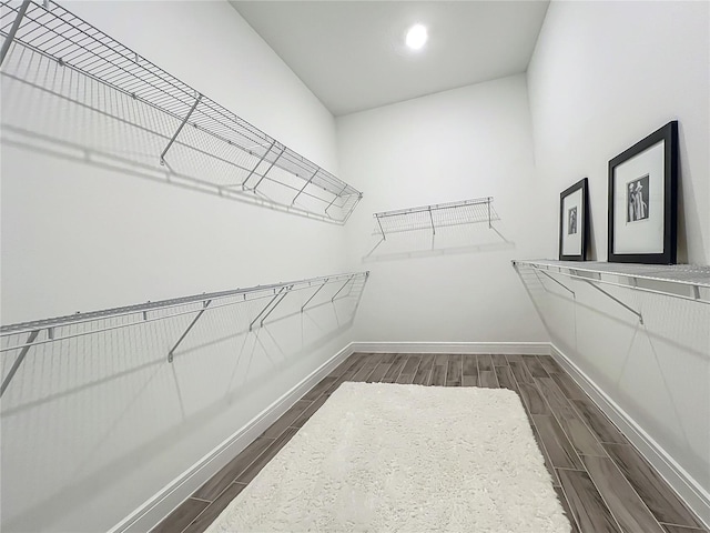 2441 Pine Preserve Ct, Saint Cloud, FL 34771 - photo 58