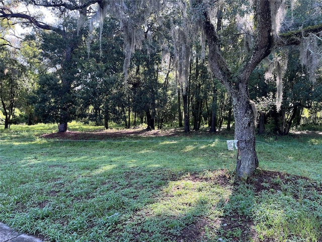 Marker St, Altamonte Springs, FL 32701 - photo 4