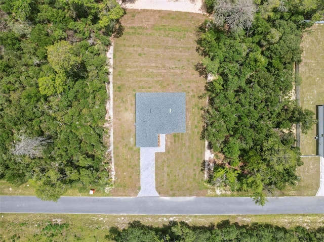 15225 SW 29th Terrace Rd, Ocala, FL 34473 - photo 14