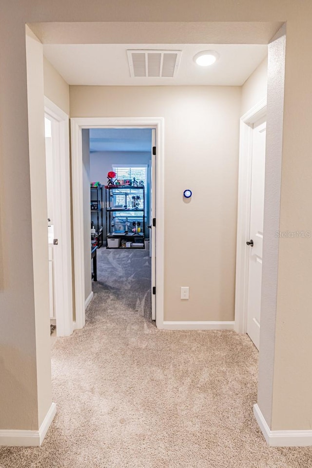 3711 Malad Way, Tavares, FL 32778 - photo 49
