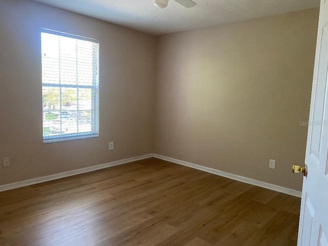 11080 Taeda Dr, Orlando, FL 32832 - photo 24