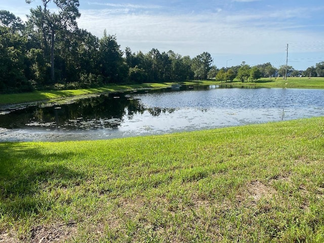 11080 Taeda Dr, Orlando, FL 32832 - photo 43