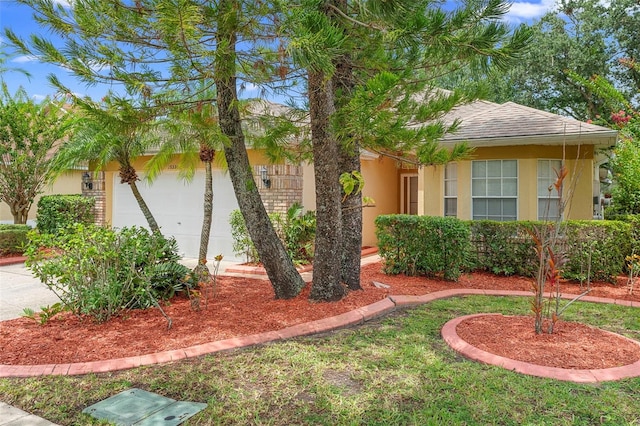 13331 Meadowlark Ln, Orlando, FL 32828 - photo 2