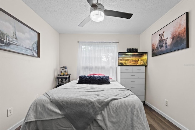 2026 San Sebastian Way S, Clearwater, FL 33763 - photo 34