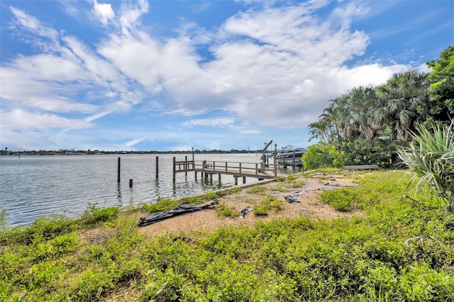 6960 S Shore Dr S, South Pasadena, FL 33707 - photo 13