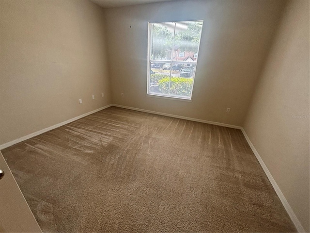6071 Westgate Dr Unit 315, Orlando, FL 32835 - photo 16