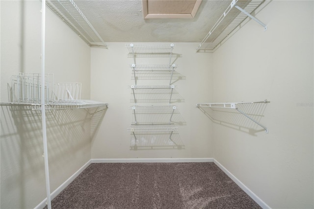 15816 Hound Horn Ln, Tampa, FL 33624 - photo 26