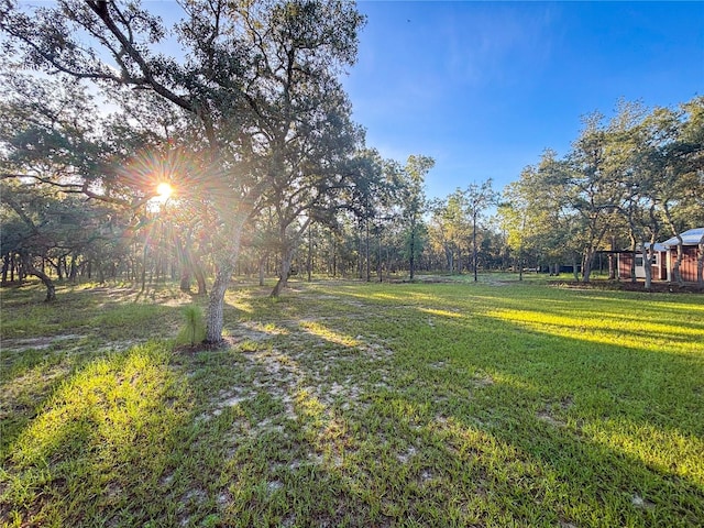 399 N Conrad Ave, Lecanto, FL 34461 - photo 34