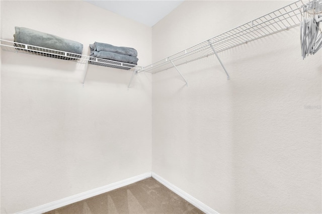 3050 Pirates Retreat Ct Unit 208, Kissimmee, FL 34747 - photo 23