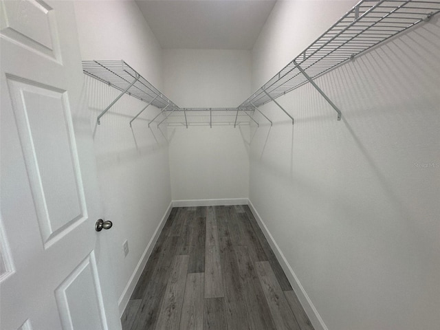 14951 SW 43rd Terrace Rd, Ocala, FL 34473 - photo 4