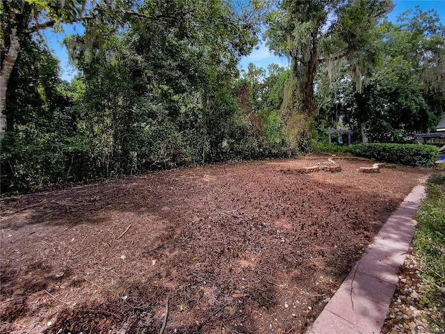 322 Moffat Loop, Oviedo, FL 32765 - photo 11
