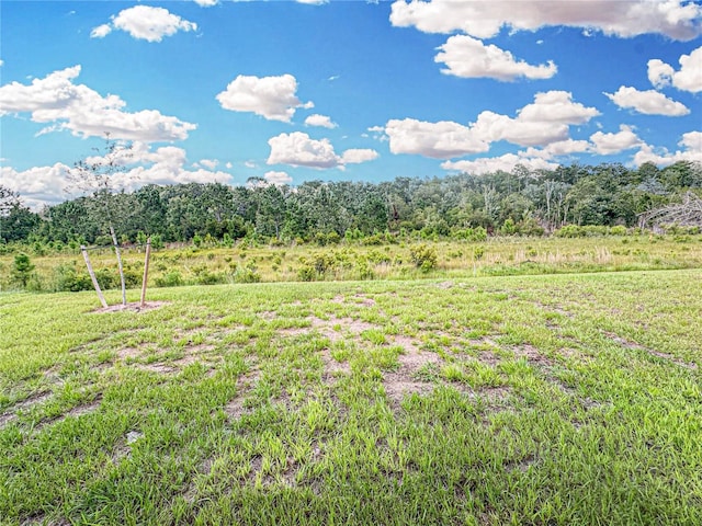 4492 Sagefield Dr, Harmony, FL 34773 - photo 13