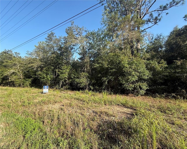 SW Sea Cliff Ave, Dunnellon, FL 34431 - photo 1