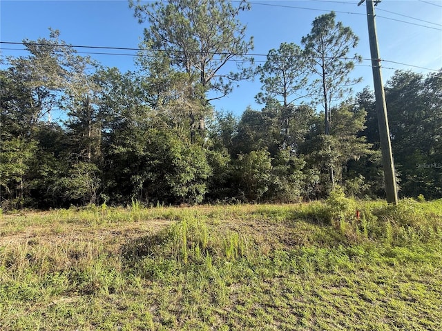 SW Sea Cliff Ave, Dunnellon, FL 34431 - photo 2