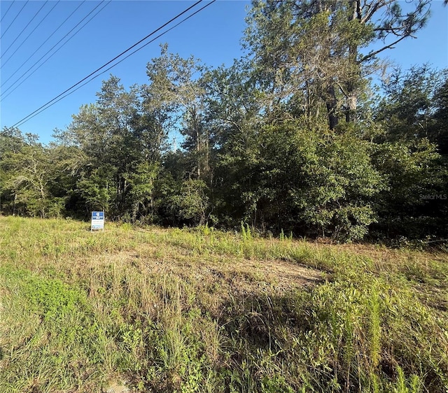 SW Sea Cliff Ave, Dunnellon, FL 34431 - photo 3