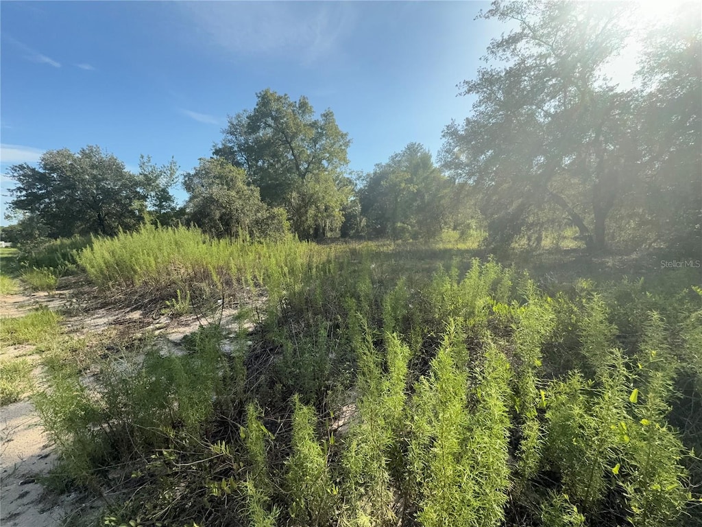 SW Winding Hills Rd, Dunnellon, FL 34431 - photo 1