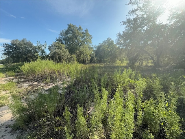 SW Winding Hills Rd, Dunnellon, FL 34431 - photo 1