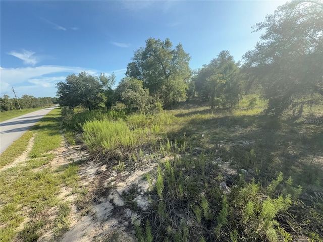 SW Winding Hills Rd, Dunnellon, FL 34431 - photo 2