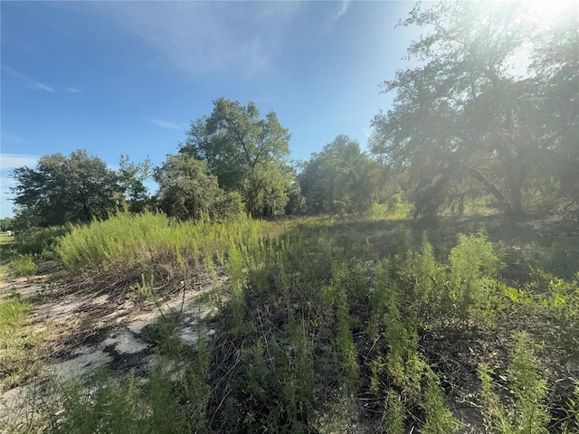 SW Big Bear Rdg, Dunnellon, FL 34431 - photo 1
