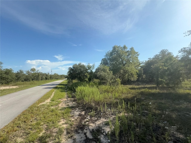 SW Big Bear Rdg, Dunnellon, FL 34431 - photo 2