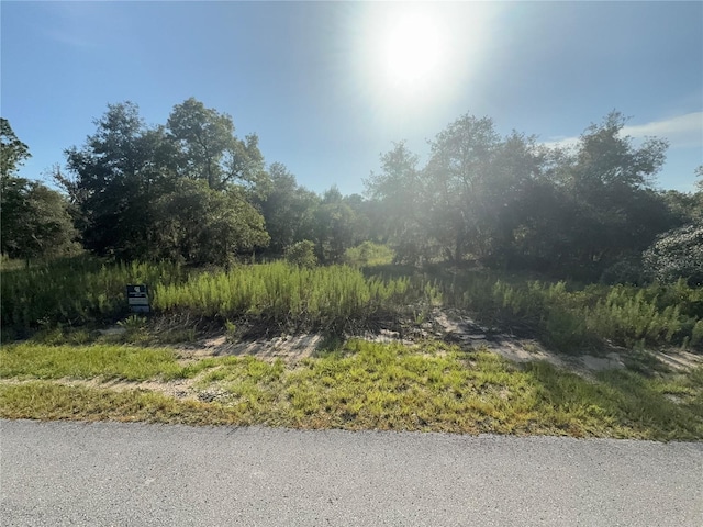 SW Big Bear Rdg, Dunnellon, FL 34431 - photo 4
