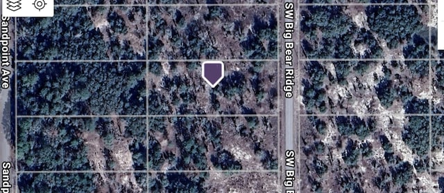 SW Big Bear Rdg, Dunnellon, FL 34431 - photo 5