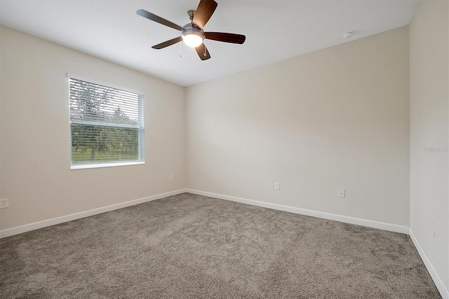 1949 American Beech Pkwy, Ocoee, FL 34761 - photo 17