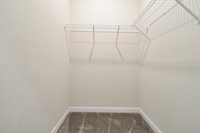 1949 American Beech Pkwy, Ocoee, FL 34761 - photo 21
